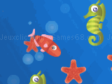 Jeu star fish